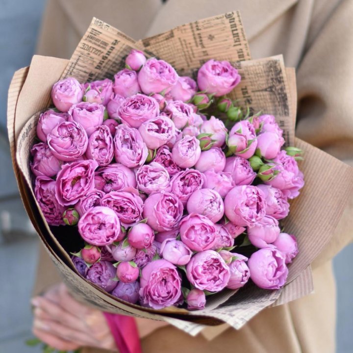 Роза Мисти Баблс в Новочеркасске