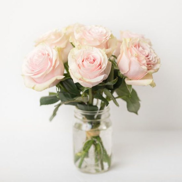 7 кремовых роз в Новочеркасске