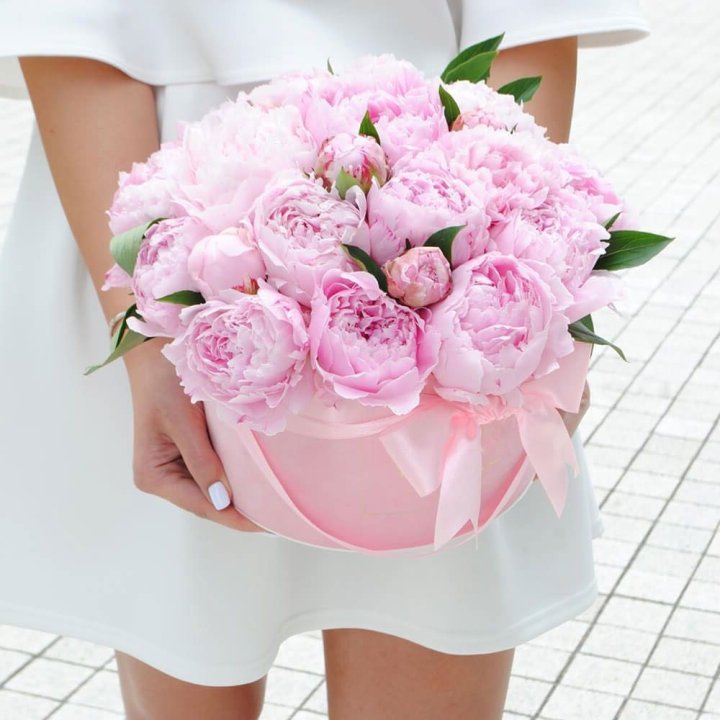 Пионы в шляпной коробке в Новочеркасске