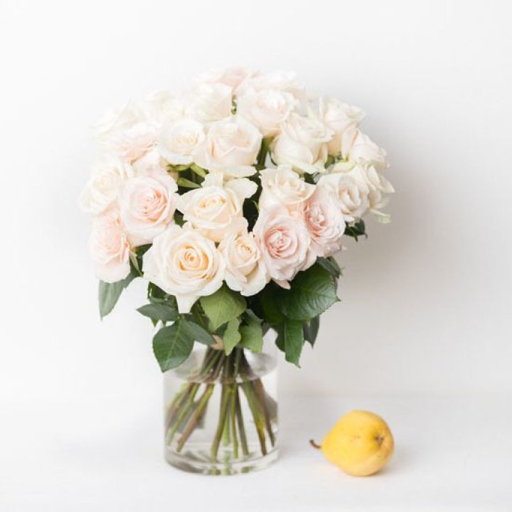 25 кремовых роз в Новочеркасске