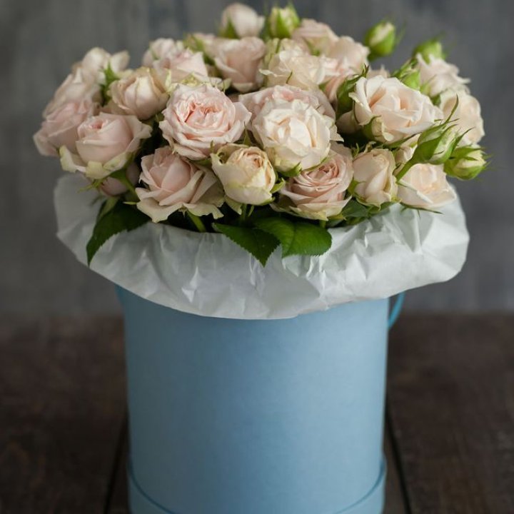 Бокс с бомбастиком в Новочеркасске