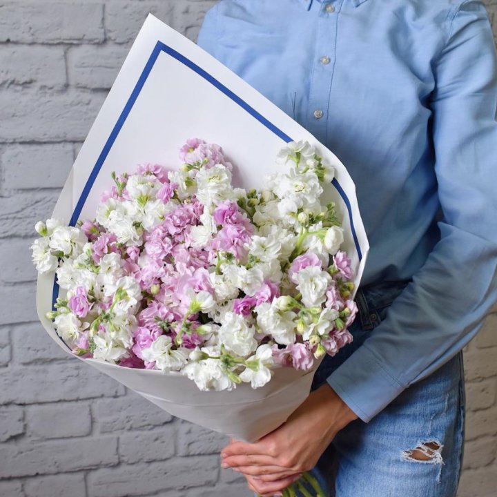 Маттиола в Новочеркасске