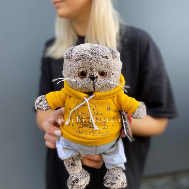 Кот Басик в худи в Новочеркасске