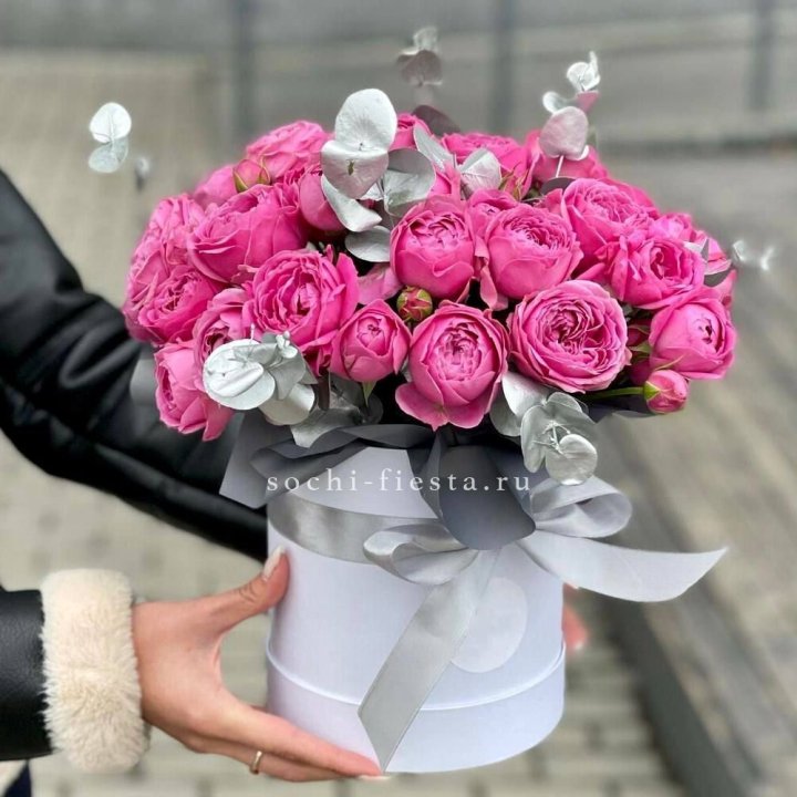 Бокс мисти баблс №2 в Новочеркасске