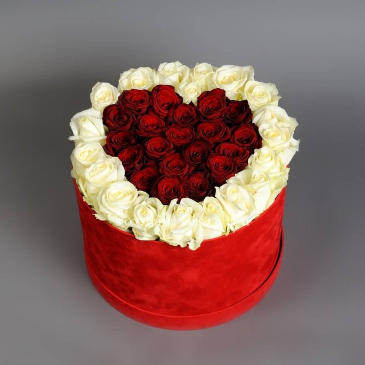 39 красных и белых роз в цилиндре в Новочеркасске