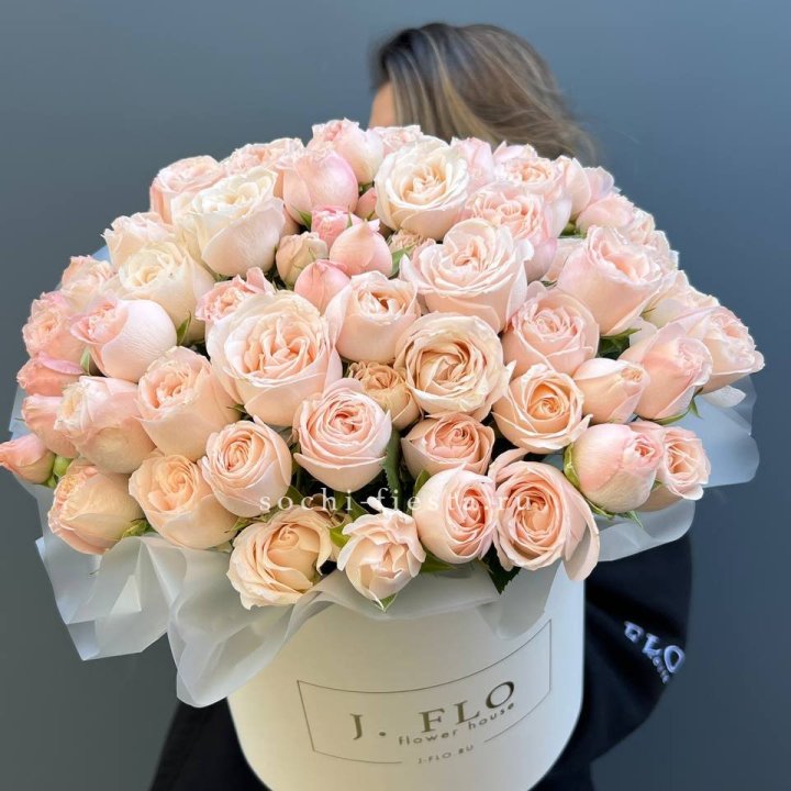 Бомбастик бокс Премьер в Новочеркасске