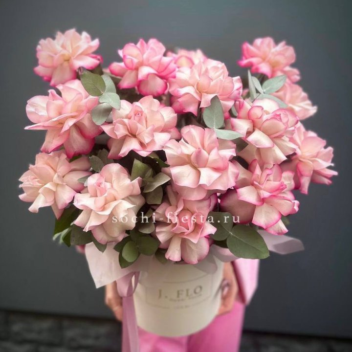 17 Французских  роз Венди в боксе в Новочеркасске