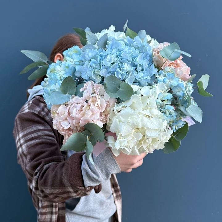 Гортензии в коробочке в Новочеркасске