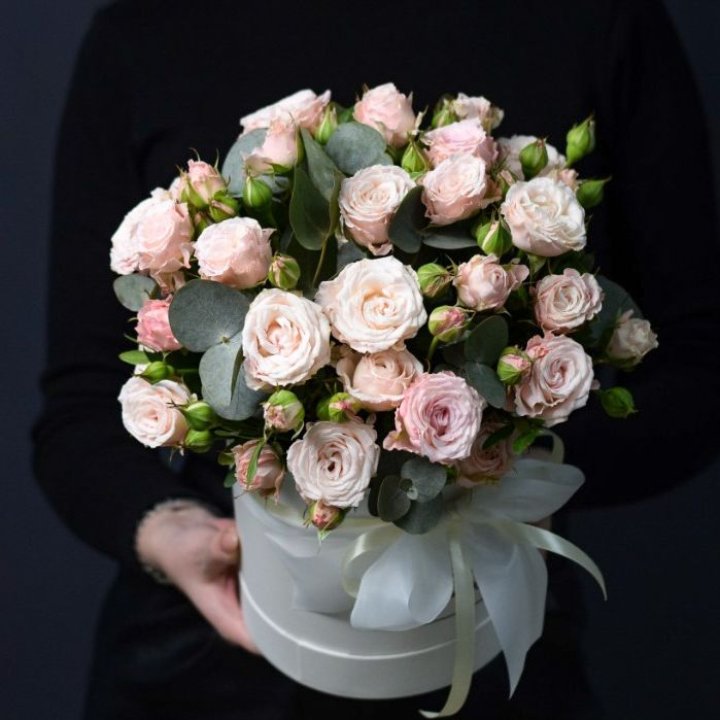 Бомбастик бокс №2 в Новочеркасске