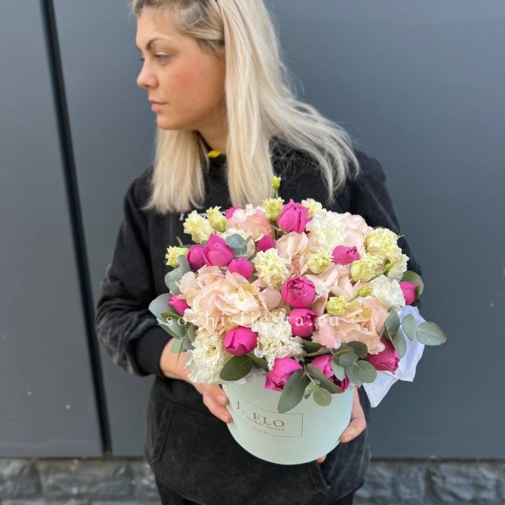 Сборный бокс премьер в Новочеркасске