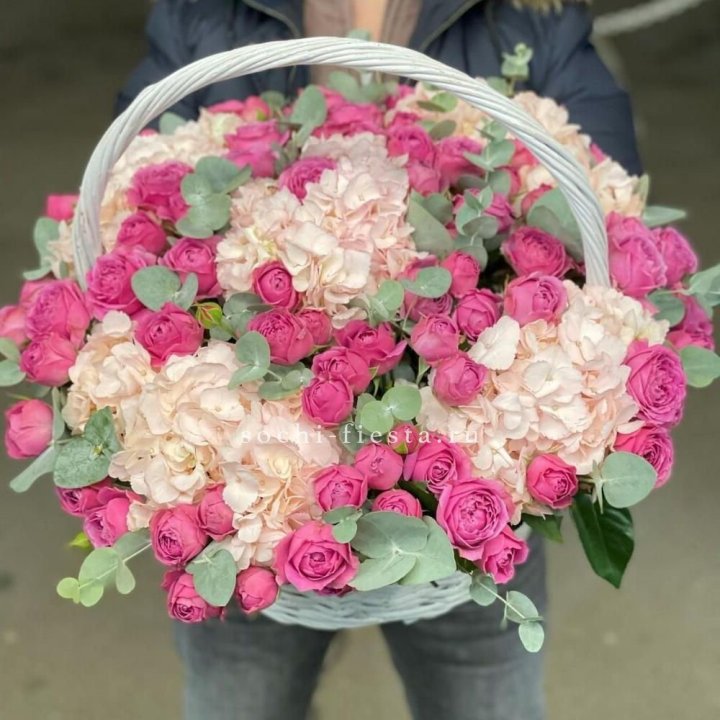 Корзина с гортензией и Мисти Баблс в Новочеркасске