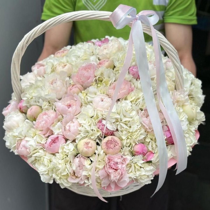 Премиум корзина гортензий и пионов в Новочеркасске