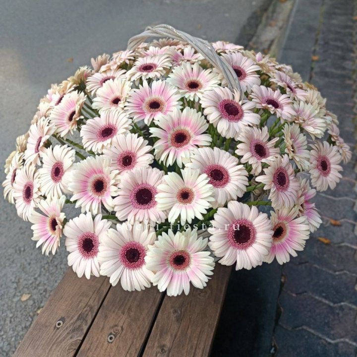 Корзина с герберами  в Новочеркасске