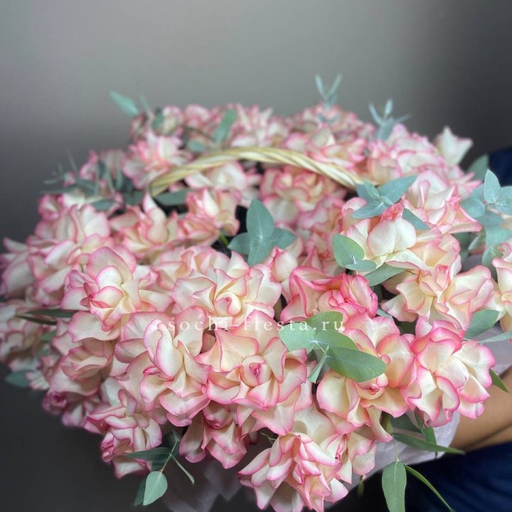 51 джумилия  в корзине   в Новочеркасске