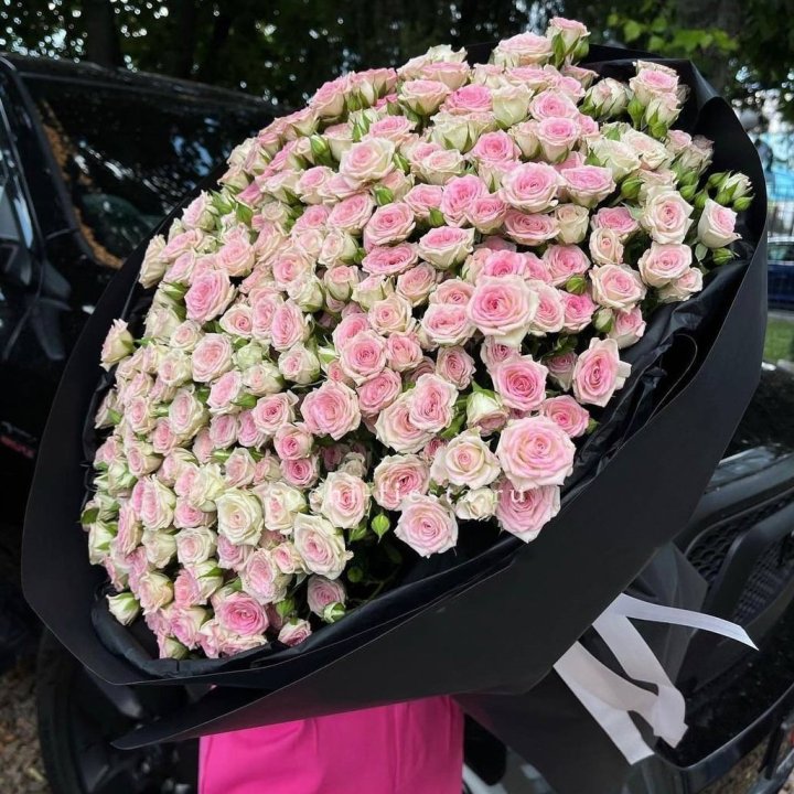 101 кустовая роза "Твистер" в Новочеркасске