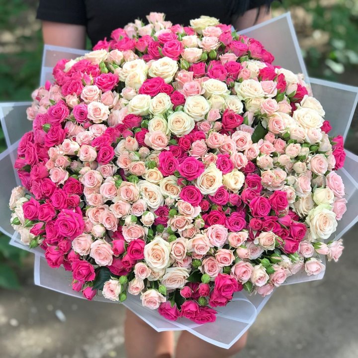 101 кустовая роза в Новочеркасске