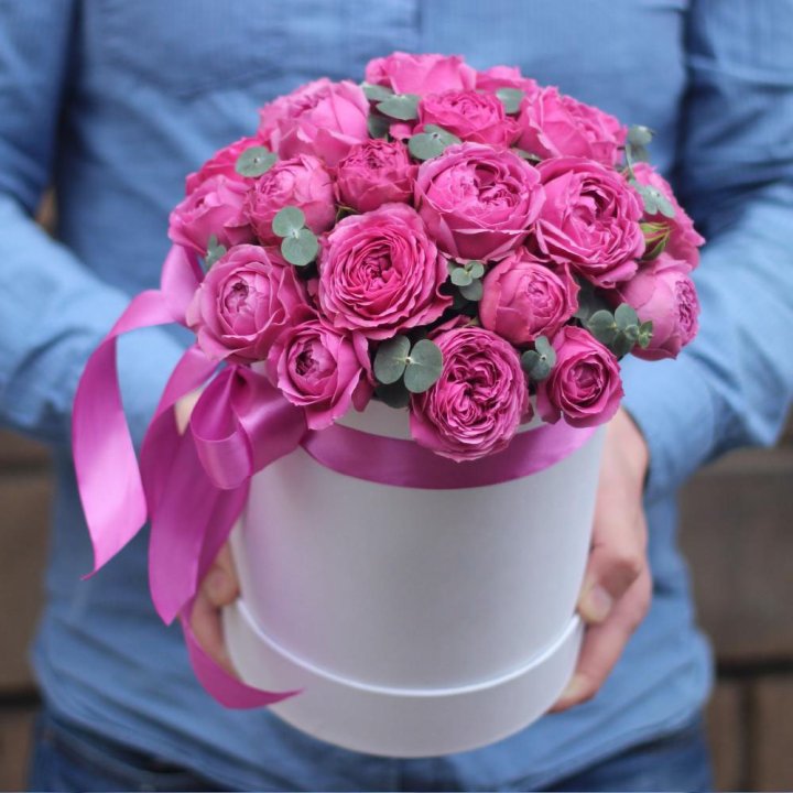 Бокс мисти баблс в Новочеркасске