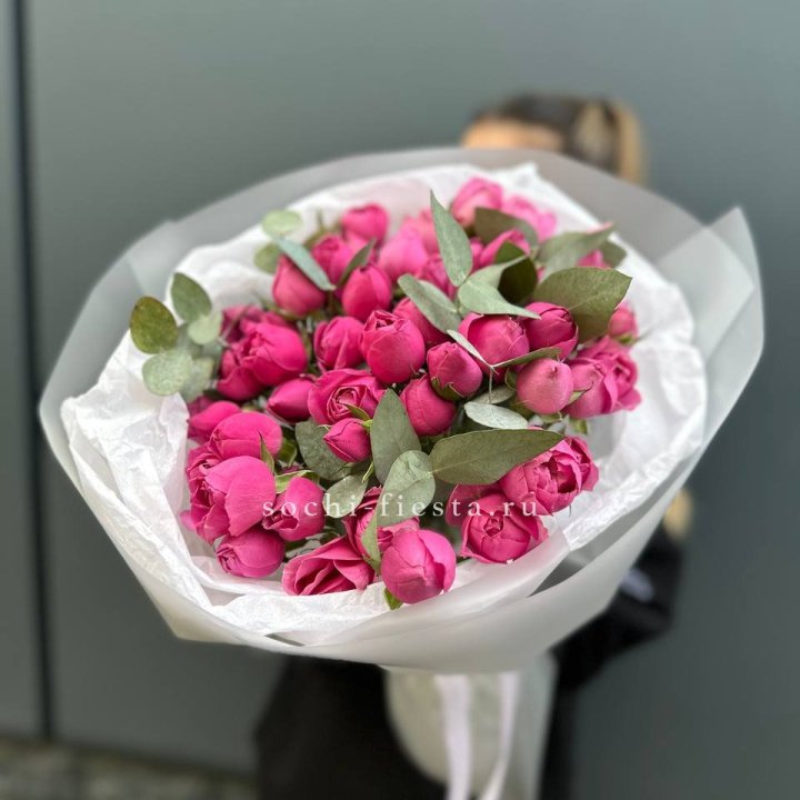 17 Мисти бабблс в Новочеркасске