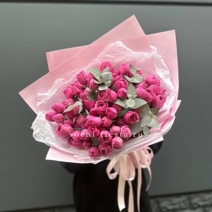 25 Мисти бабблс в Новочеркасске