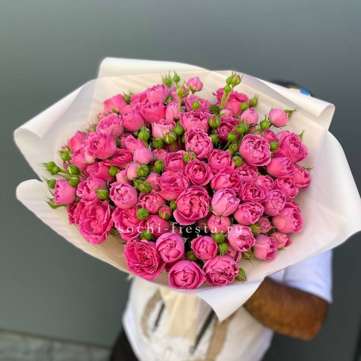 Мисти Баблс 35шт в Новочеркасске