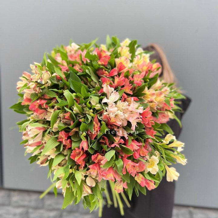 51 альстромерия в Новочеркасске