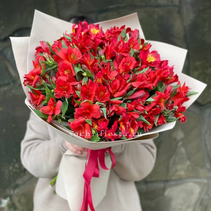 51 альстромерия в Новочеркасске