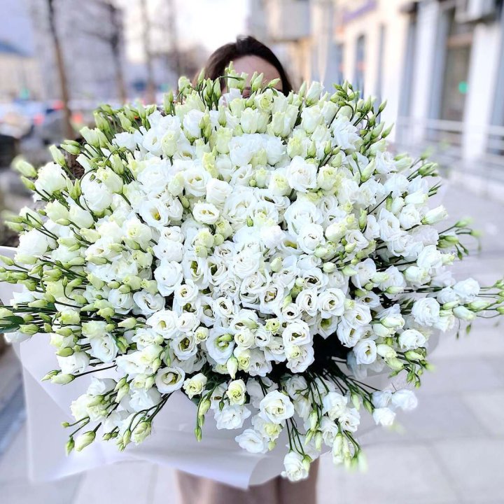 101 белая эустома в Новочеркасске