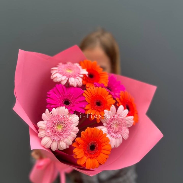 Краски в Новочеркасске