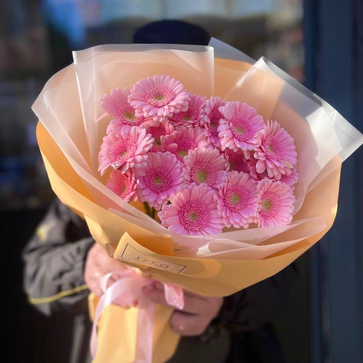 17 розовых гербер  в Новочеркасске