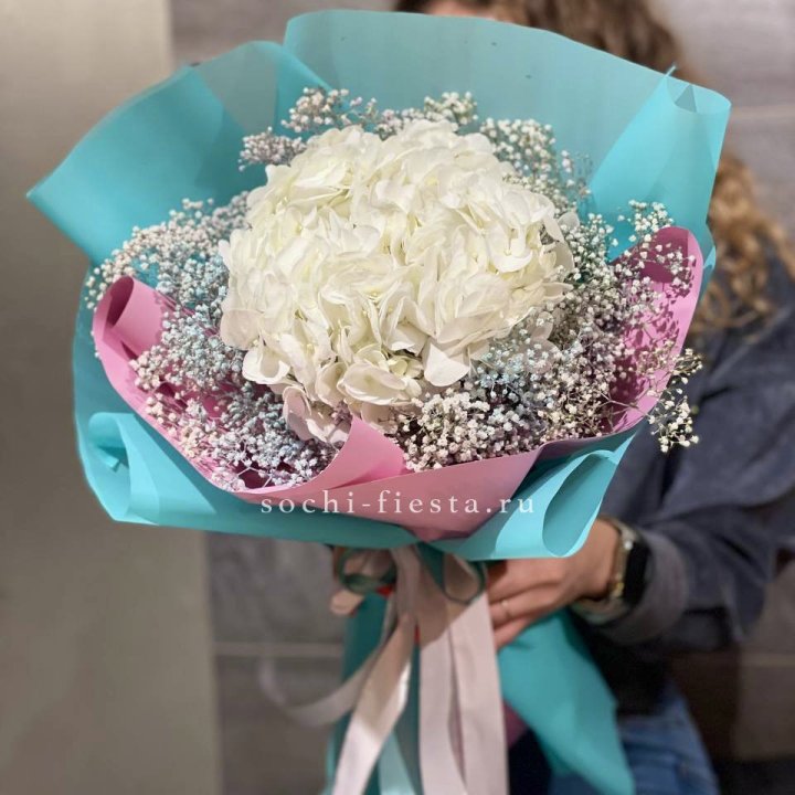 Гортензия "Райдов" в Новочеркасске