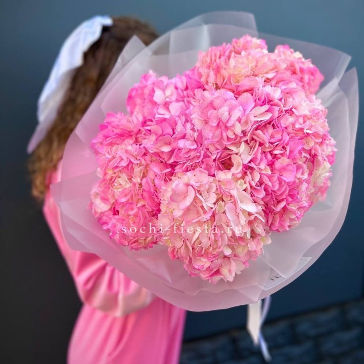 7 ярко розовых гортензий в Новочеркасске