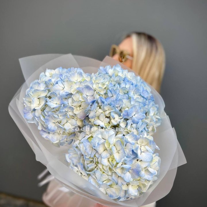 Букет из 3 голубых гортензий  в Новочеркасске
