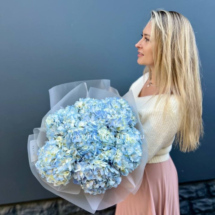 7 голубых гортензий в Новочеркасске