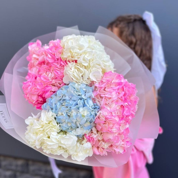 7 гортензий микс в Новочеркасске