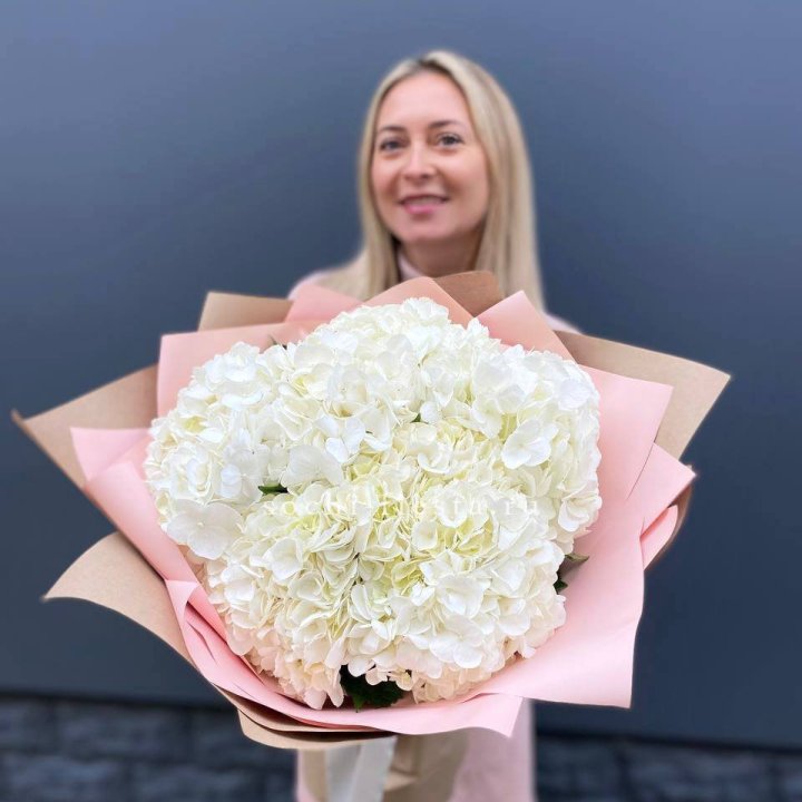 Гортензия белая в Новочеркасске