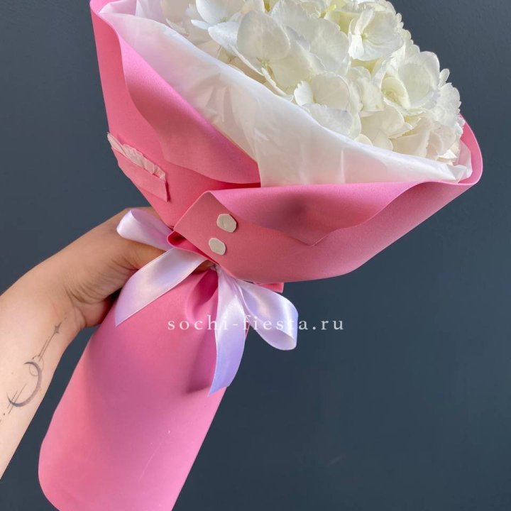 Гортензия в розовом пиджаке в Новочеркасске