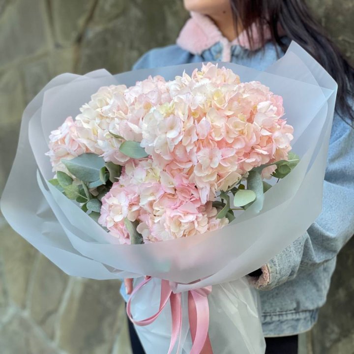 5 розовых гортензий в Новочеркасске