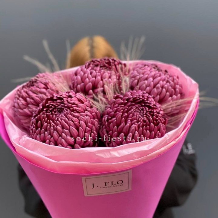 Хризантемы  Бигуди с стифой в Новочеркасске