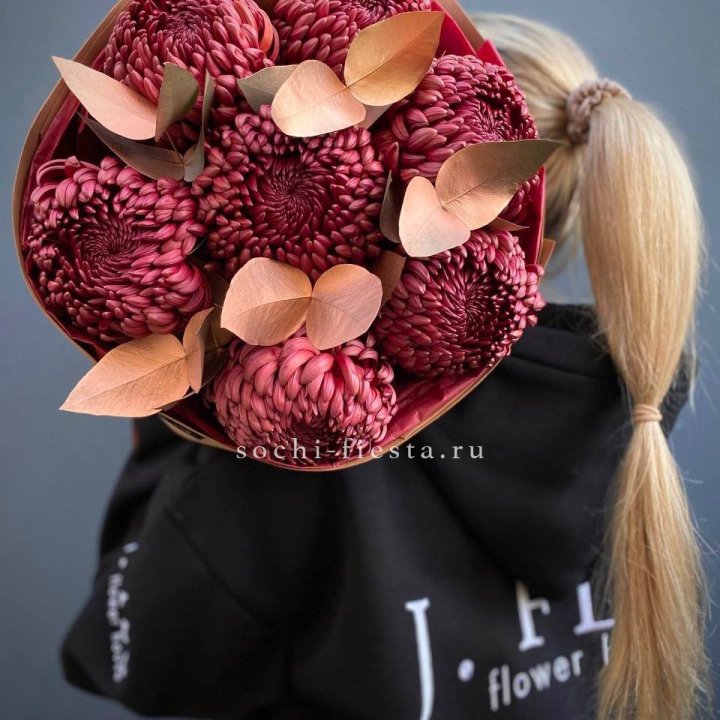 Хризантемы "Голд шоколад" в Новочеркасске