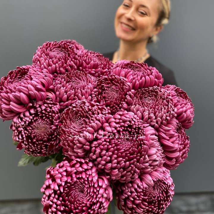 Охапка хризантем Бигуди в Новочеркасске