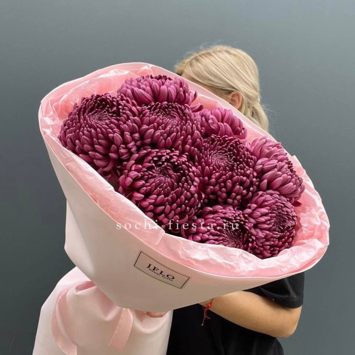 9 хризантем бигуди в Новочеркасске