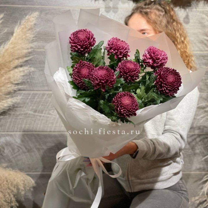 Хризантемы Бигуди в Новочеркасске