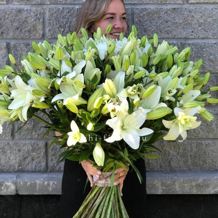 51 лилия в Новочеркасске