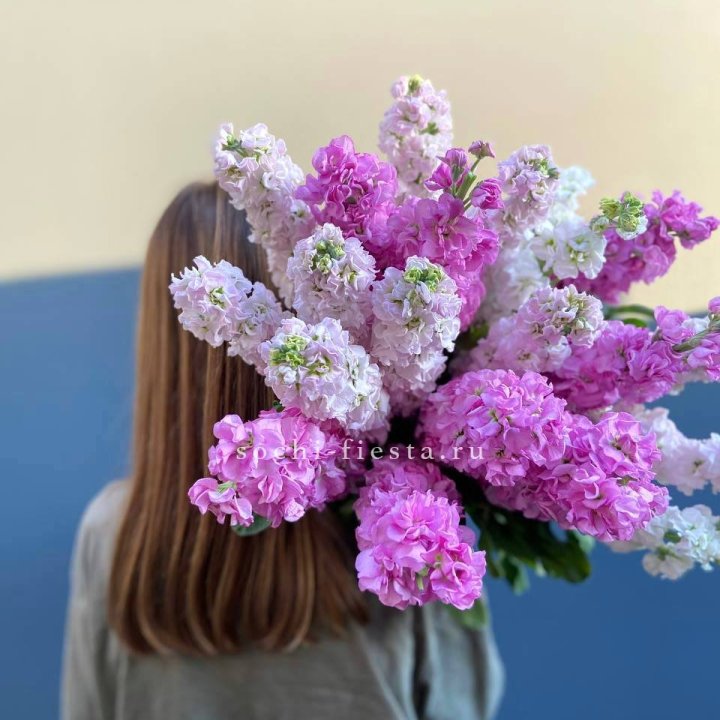 Охапка маттиолы в Новочеркасске