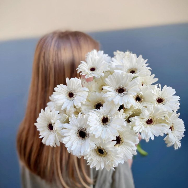 Охапка гербер в Новочеркасске