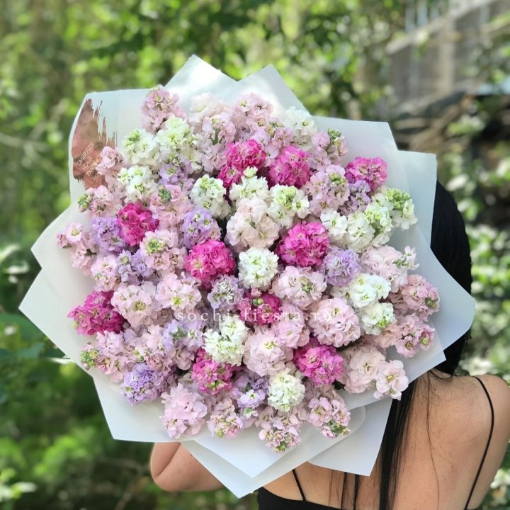 Букет ароматной маттиоллы №3 в Новочеркасске