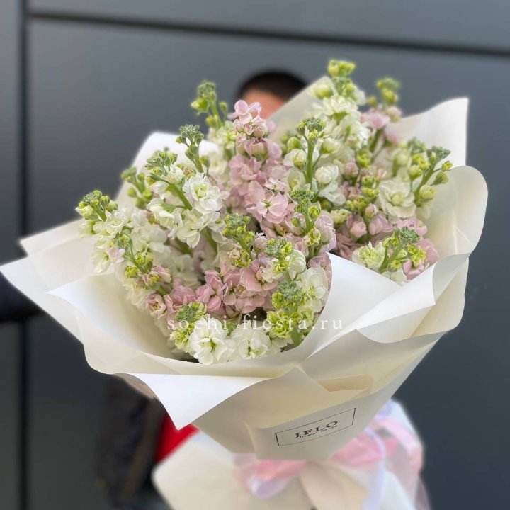 29 маттиол  в Новочеркасске