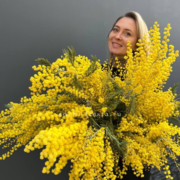 Охапка мимозы №2 в Новочеркасске