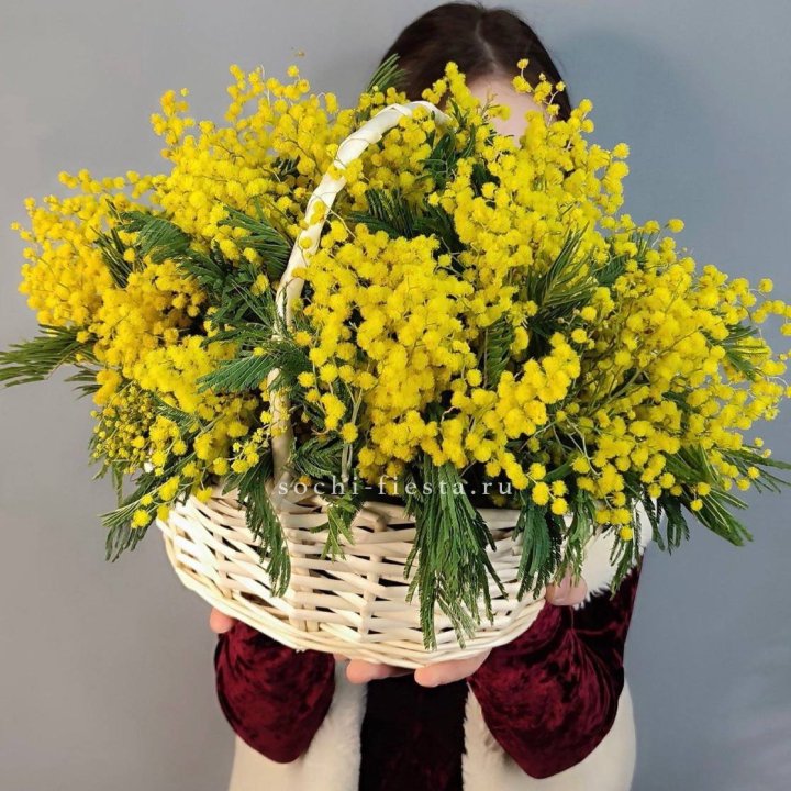 Корзина ароматной мимозы в Новочеркасске