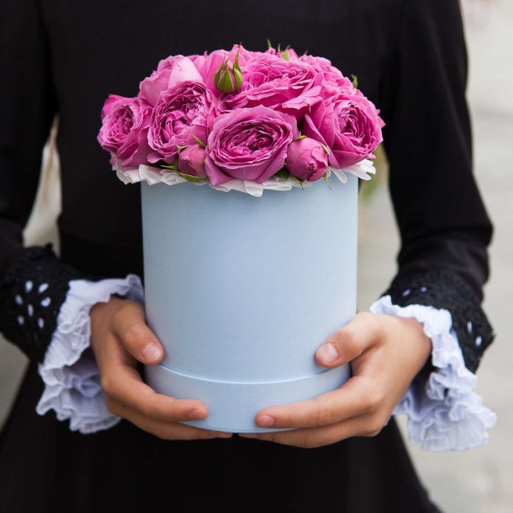 Бокс мини мисти в Новочеркасске